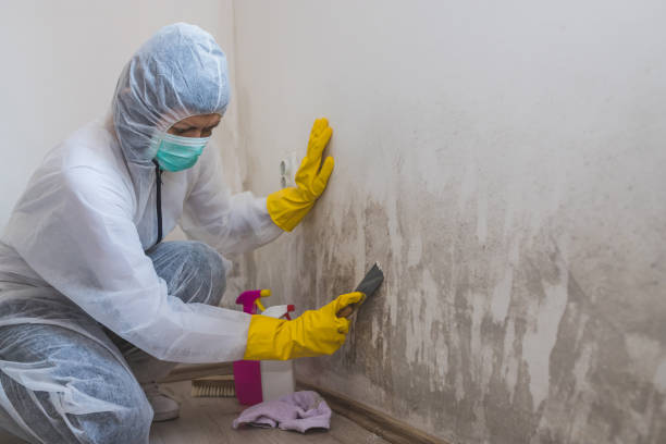 Best Mold Testing  in Sycamore, GA