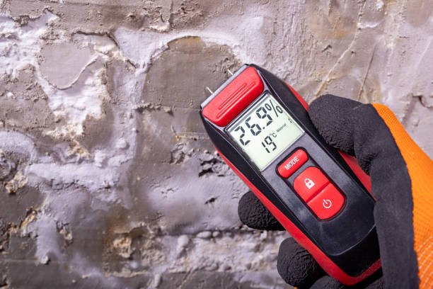 Best Black Mold Removal  in Sycamore, GA
