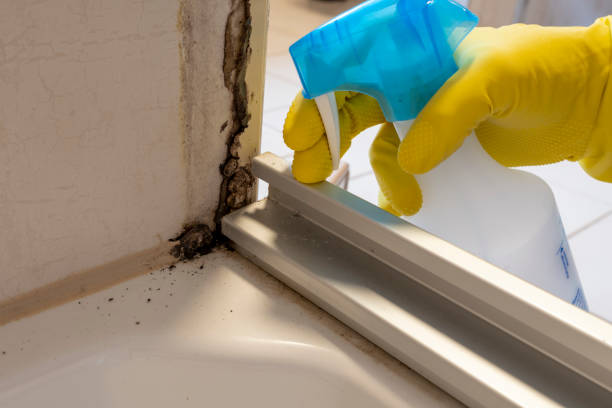 Best Office Mold Removal Services  in Sycamore, GA