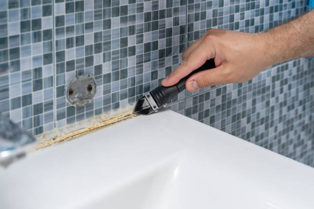 Best Fast Mold Removal  in Sycamore, GA